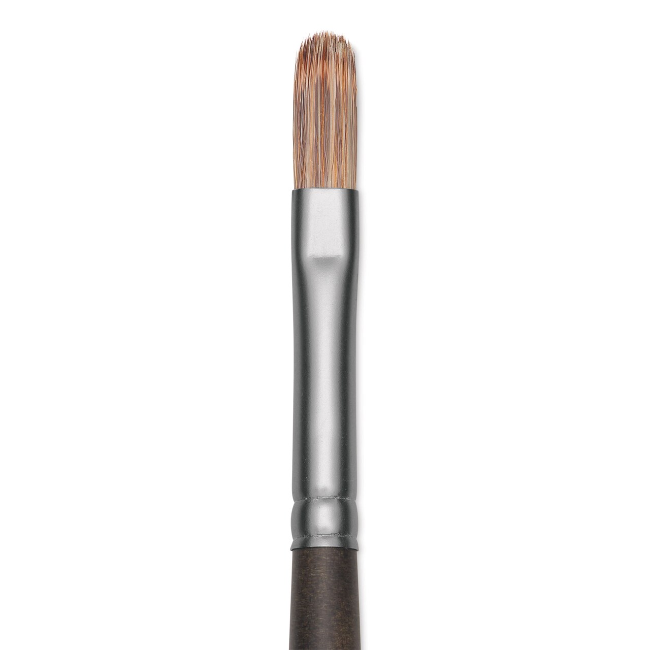 Princeton Pro Series 6000 Brush - Filbert, Long Handle, Size 2